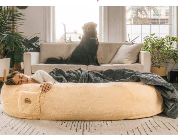 Human sized dog bed